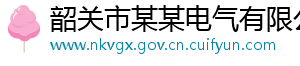 韶关市某某电气有限公司